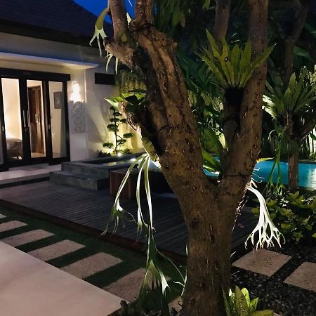 Villa Apanya Sanur Εξωτερικό φωτογραφία